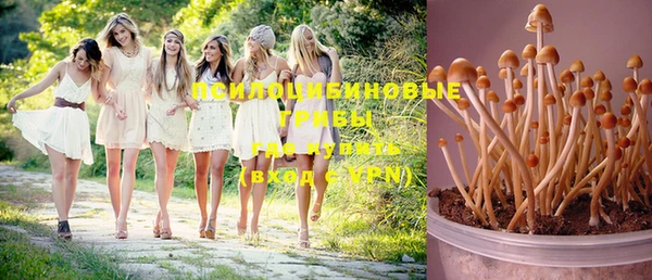 mix Медногорск