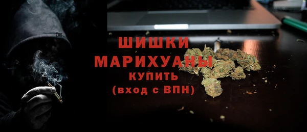 гидра Мегион