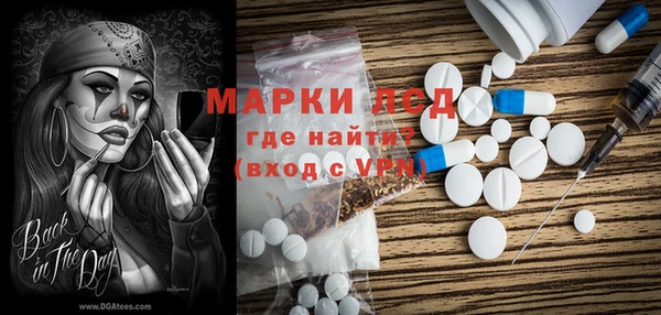 гидра Мегион