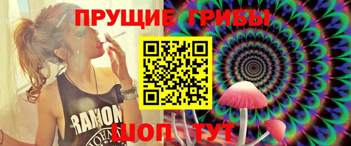 Апрелевка  Псилоцибиновые грибы прущие грибы  Вход с VPN 