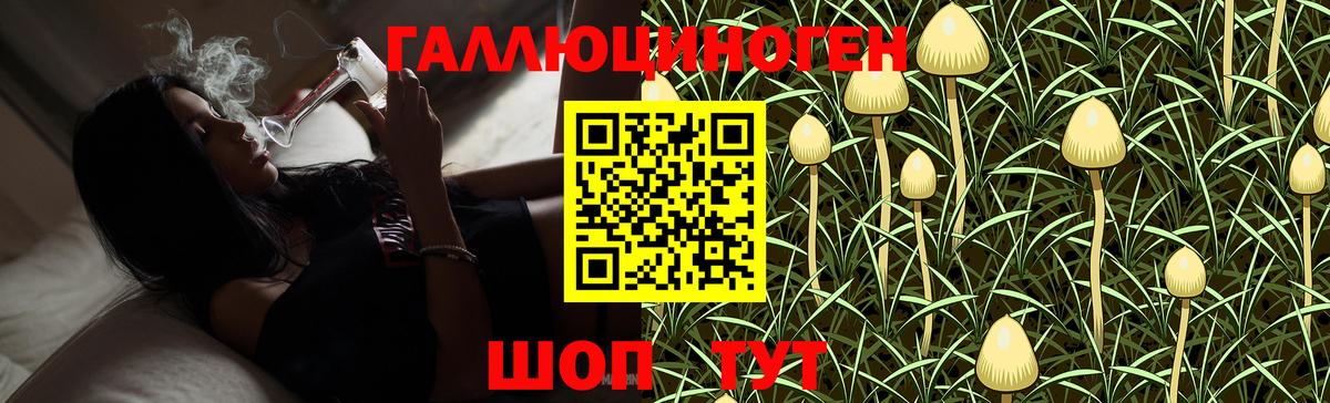 Псилоцибиновые грибы мицелий  Апрелевка 